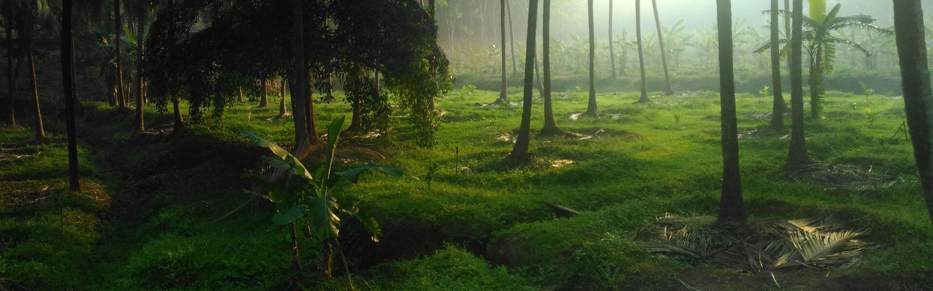 all-clean-additional-services